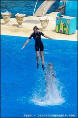 Marineland - Dauphins - Spectacle -15h30 - 0434
