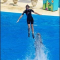 Marineland - Dauphins - Spectacle -15h30 - 0434