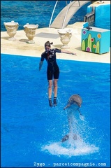 Marineland - Dauphins - Spectacle -15h30 - 0435