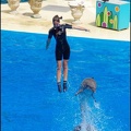 Marineland - Dauphins - Spectacle -15h30 - 0435