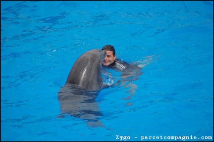 Marineland - Dauphins - Spectacle -15h30 - 0436