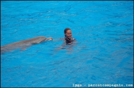 Marineland - Dauphins - Spectacle -15h30 - 0437