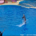 Marineland - Dauphins - Spectacle -15h30 - 0443