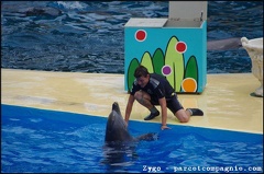 Marineland - Dauphins - Spectacle -15h30 - 0450
