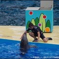 Marineland - Dauphins - Spectacle -15h30 - 0451