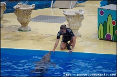 Marineland - Dauphins - Spectacle -15h30 - 0452