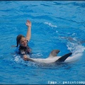 Marineland - Dauphins - Spectacle -15h30 - 0455