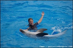 Marineland - Dauphins - Spectacle -15h30 - 0456