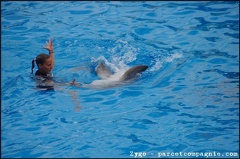 Marineland - Dauphins - Spectacle -15h30 - 0457