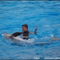 Marineland - Dauphins - Spectacle -15h30 - 0459