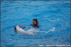 Marineland - Dauphins - Spectacle -15h30 - 0460