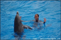 Marineland - Dauphins - Spectacle -15h30 - 0461