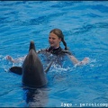 Marineland - Dauphins - Spectacle -15h30 - 0462