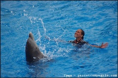 Marineland - Dauphins - Spectacle -15h30 - 0463