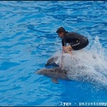 Marineland - Dauphins - Spectacle -15h30 - 0473