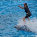 Marineland - Dauphins - Spectacle -15h30 - 0474