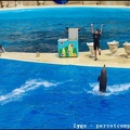Marineland - Dauphins - Spectacle -15h30 - 0477