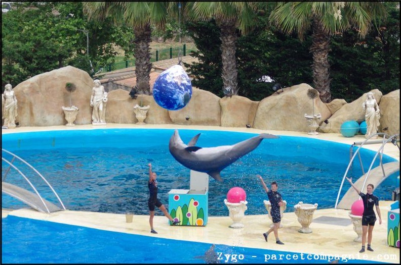 Marineland - Dauphins - Spectacle -15h30 - 0480