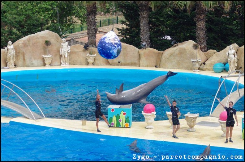Marineland - Dauphins - Spectacle -15h30 - 0481