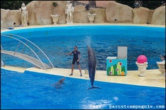 Marineland - Dauphins - Spectacle -15h30 - 0482