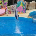 Marineland - Dauphins - Spectacle -15h30 - 0483