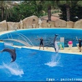 Marineland - Dauphins - Spectacle -15h30 - 0486