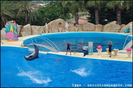Marineland - Dauphins - Spectacle -15h30 - 0487