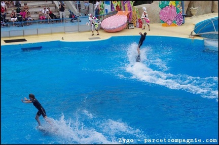 Marineland - Dauphins - Spectacle -15h30 - 0490