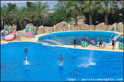 Marineland - Dauphins - Spectacle -15h30 - 0491