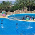 Marineland - Dauphins - Spectacle -15h30 - 0492