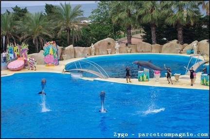 Marineland - Dauphins - Spectacle -15h30 - 0492