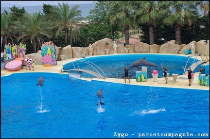 Marineland - Dauphins - Spectacle -15h30 - 0493