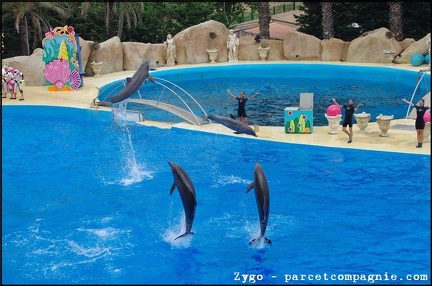 Marineland - Dauphins - Spectacle -15h30 - 0494