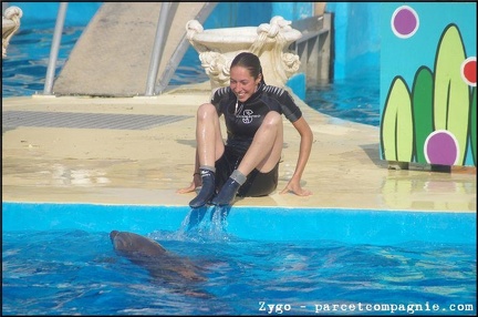 Marineland - Dauphins - Spectacle - 18h00 - 0498