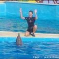 Marineland - Dauphins - Spectacle - 18h00 - 0499