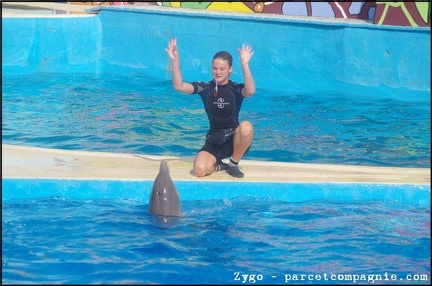Marineland - Dauphins - Spectacle - 18h00 - 0499