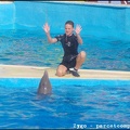 Marineland - Dauphins - Spectacle - 18h00 - 0500