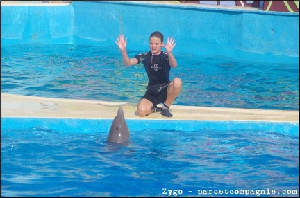 Marineland - Dauphins - Spectacle - 18h00 - 0500