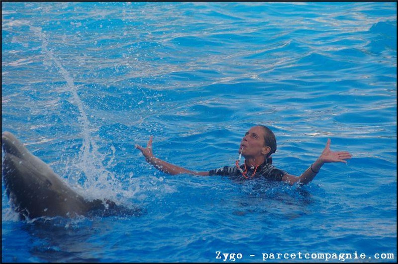 Marineland - Dauphins - Spectacle - 18h00 - 0501