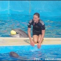 Marineland - Dauphins - Spectacle - 18h00 - 0502