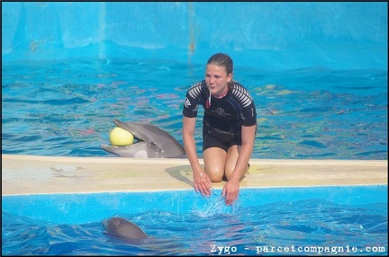 Marineland - Dauphins - Spectacle - 18h00 - 0502