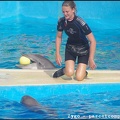 Marineland - Dauphins - Spectacle - 18h00 - 0503