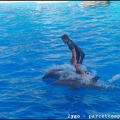 Marineland - Dauphins - Spectacle - 18h00 - 0508