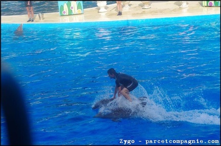 Marineland - Dauphins - Spectacle - 18h00 - 0509