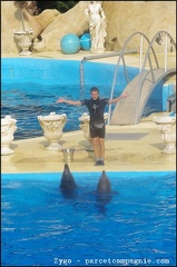 Marineland - Dauphins - Spectacle - 18h00 - 0512