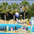 Marineland - Dauphins - Spectacle - 18h00 - 0516