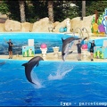 Marineland - Dauphins - Spectacle - 18h00 - 0517