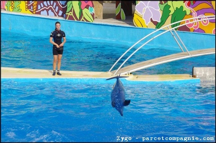 Marineland - Dauphins - Spectacle - 18h00 - 0520