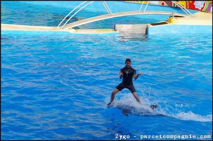 Marineland - Dauphins - Spectacle - 18h00 - 0525