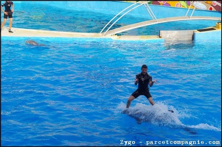 Marineland - Dauphins - Spectacle - 18h00 - 0526